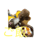 プーとショコラ（個別スタンプ：6）