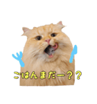 もふもふヒナシュー（個別スタンプ：2）