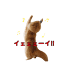 もふもふヒナシュー（個別スタンプ：10）
