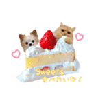 もふもふヒナシュー（個別スタンプ：24）