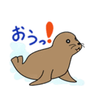 水族館のどうぶつたちの日常会話（個別スタンプ：3）