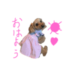 お空の上のリアルマクちゃん（個別スタンプ：2）