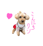 お空の上のリアルマクちゃん（個別スタンプ：3）
