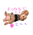 お空の上のリアルマクちゃん（個別スタンプ：5）