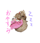 お空の上のリアルマクちゃん（個別スタンプ：6）