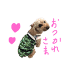 お空の上のリアルマクちゃん（個別スタンプ：13）