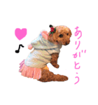お空の上のリアルマクちゃん（個別スタンプ：16）