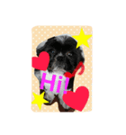 Mydog is fun.（個別スタンプ：1）