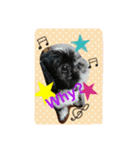 Mydog is fun.（個別スタンプ：3）