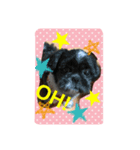 Mydog is fun.（個別スタンプ：4）