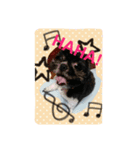 Mydog is fun.（個別スタンプ：5）