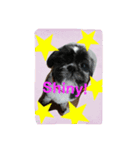 Mydog is fun.（個別スタンプ：6）