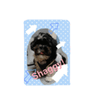 Mydog is fun.（個別スタンプ：7）