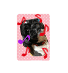 Mydog is fun.（個別スタンプ：8）