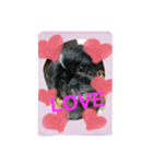 Mydogs is lovely.（個別スタンプ：2）