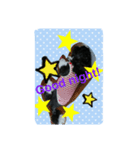 Mydogs is lovely.（個別スタンプ：3）