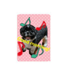 Mydogs is lovely.（個別スタンプ：4）
