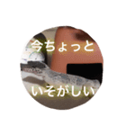 レオパのネモフィー2（個別スタンプ：9）