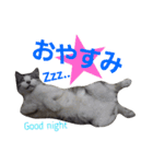 ごま吉くん日和2使える日本語（個別スタンプ：3）