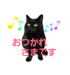 ごま吉くん日和2使える日本語（個別スタンプ：8）