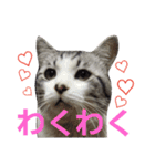 ごま吉くん日和2使える日本語（個別スタンプ：16）