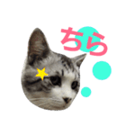 ごま吉くん日和2使える日本語（個別スタンプ：18）