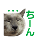 ごま吉くん日和2使える日本語（個別スタンプ：19）