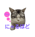 ごま吉くん日和2使える日本語（個別スタンプ：20）