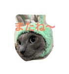 ルル ハロー（個別スタンプ：10）