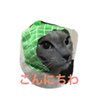 ルル ハロー（個別スタンプ：13）
