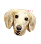Smile moca（個別スタンプ：4）