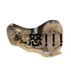 BELL/0824（個別スタンプ：6）