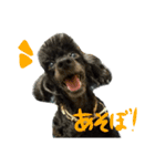 犬と犬と黄色い鳥。（個別スタンプ：2）