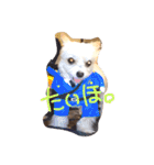 愛犬シナモン（個別スタンプ：14）