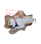 Yoshie  and  Puri（個別スタンプ：4）