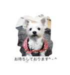 ツン＆レイ＆レナ（個別スタンプ：2）