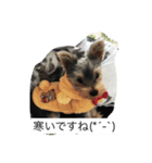 ツン＆レイ＆レナ（個別スタンプ：3）