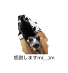 ツン＆レイ＆レナ（個別スタンプ：4）