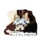 ツン＆レイ＆レナ（個別スタンプ：6）