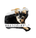 ツン＆レイ＆レナ（個別スタンプ：8）