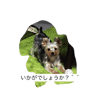 ツン＆レイ＆レナ（個別スタンプ：9）