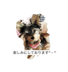 ツン＆レイ＆レナ（個別スタンプ：10）