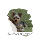 ツン＆レイ＆レナ（個別スタンプ：12）