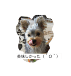 ツン＆レイ＆レナ（個別スタンプ：13）