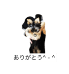ツン＆レイ＆レナ（個別スタンプ：16）