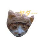 オリバー。（個別スタンプ：1）