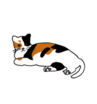 Meow, We are Cats！ 2（個別スタンプ：1）