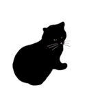 Meow, We are Cats！ 2（個別スタンプ：2）