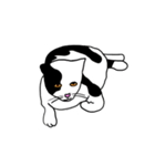 Meow, We are Cats！ 2（個別スタンプ：3）