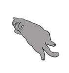 Meow, We are Cats！ 2（個別スタンプ：4）